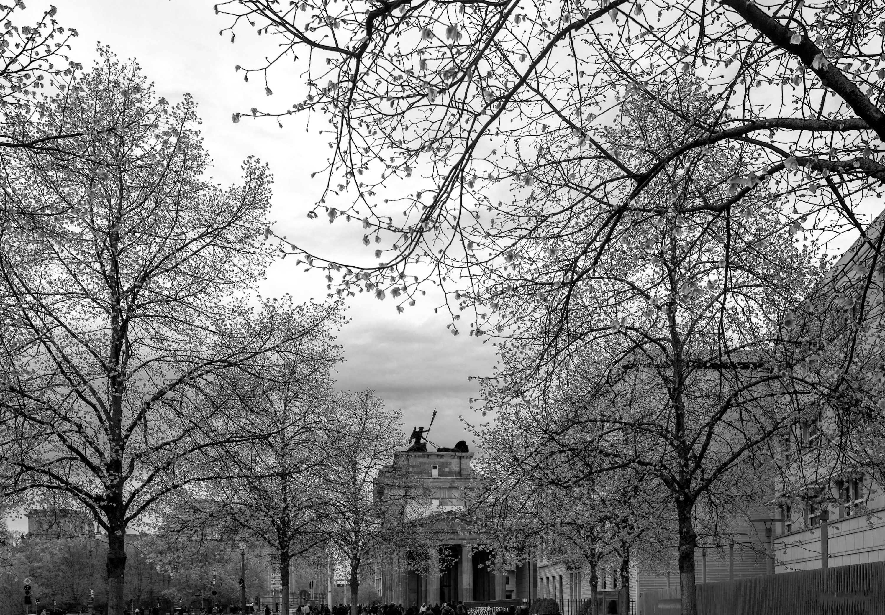 brandenburg gate through the trees