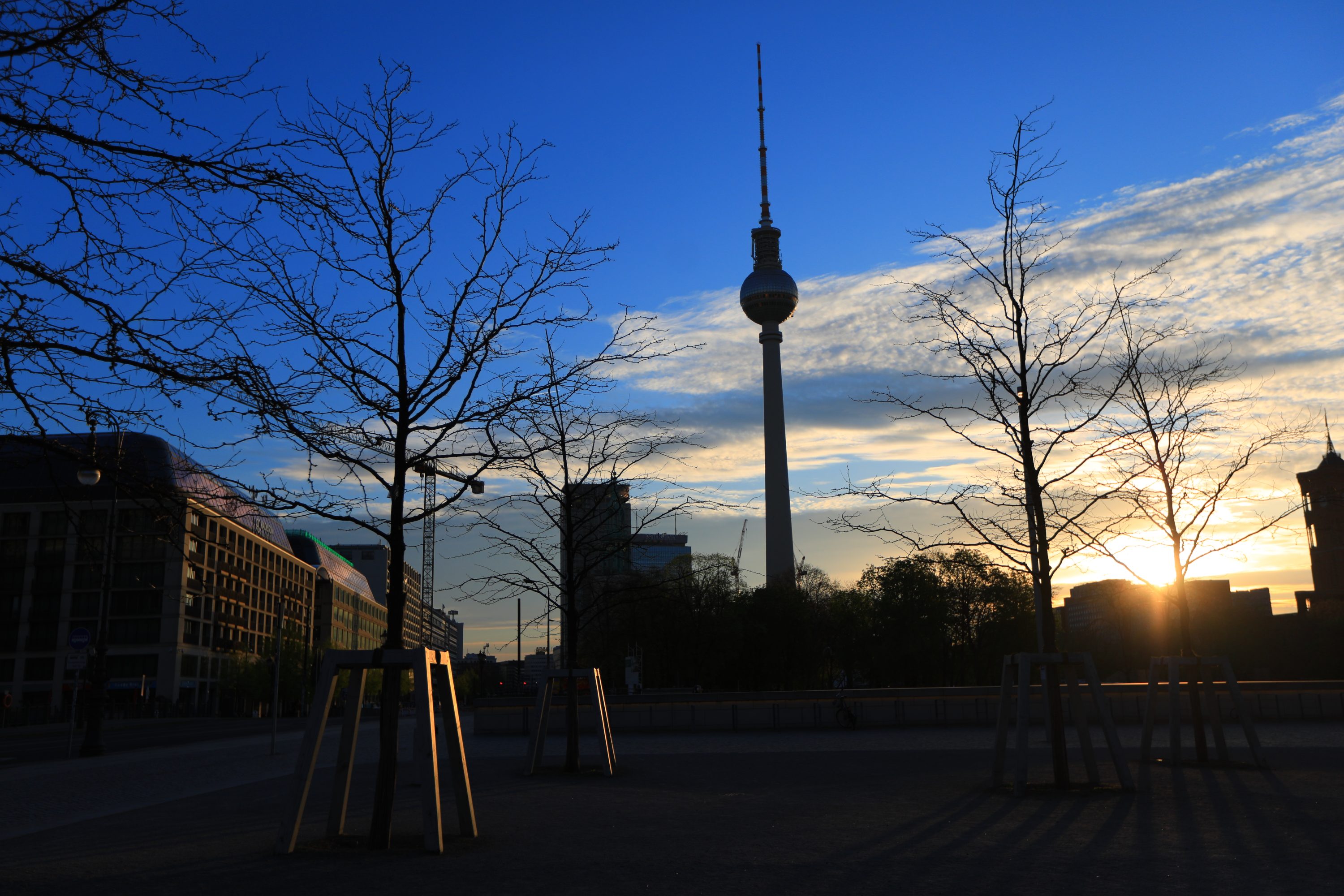 Berlins tv tower in background of trees