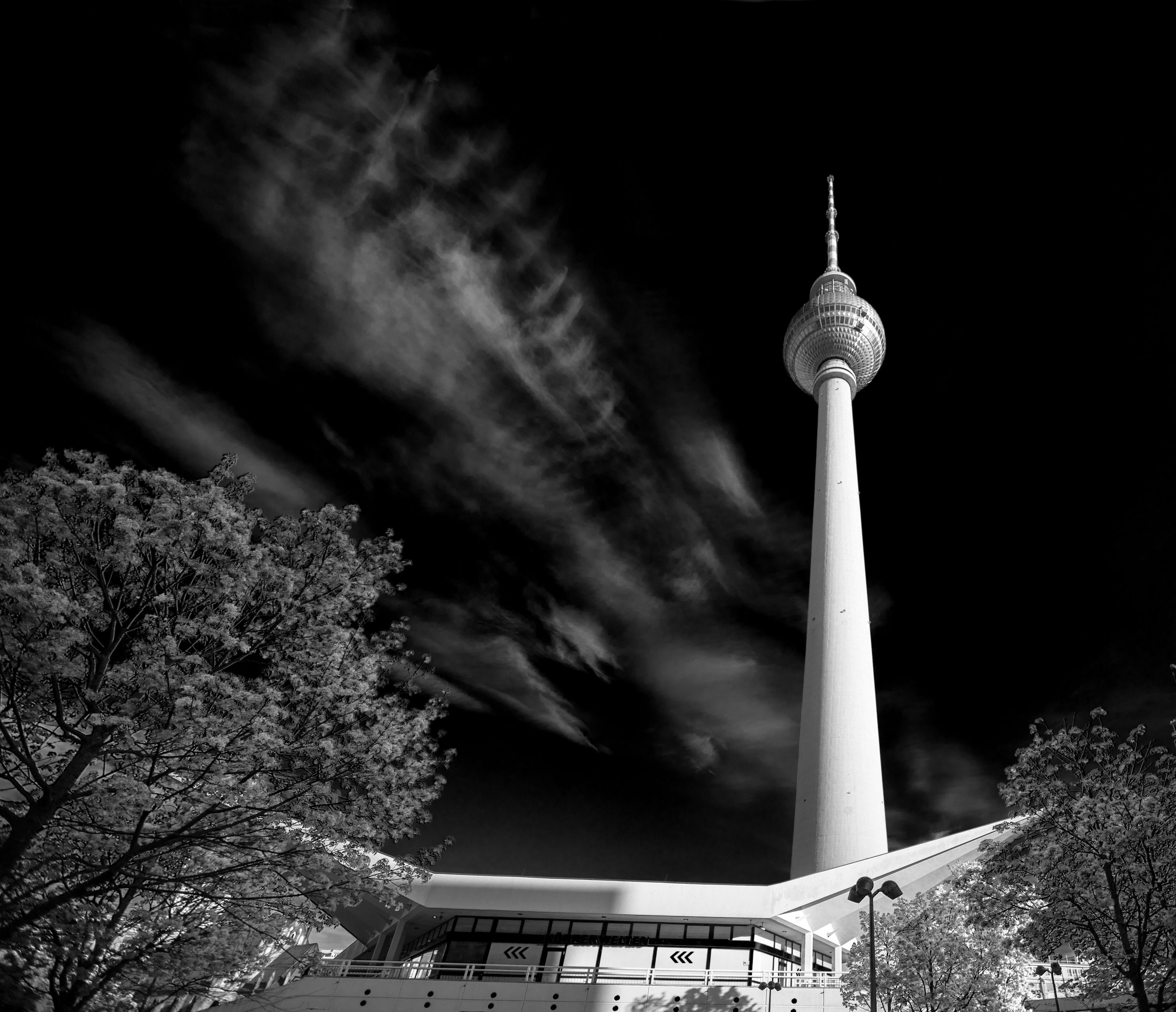 Berlins tv tower black and white